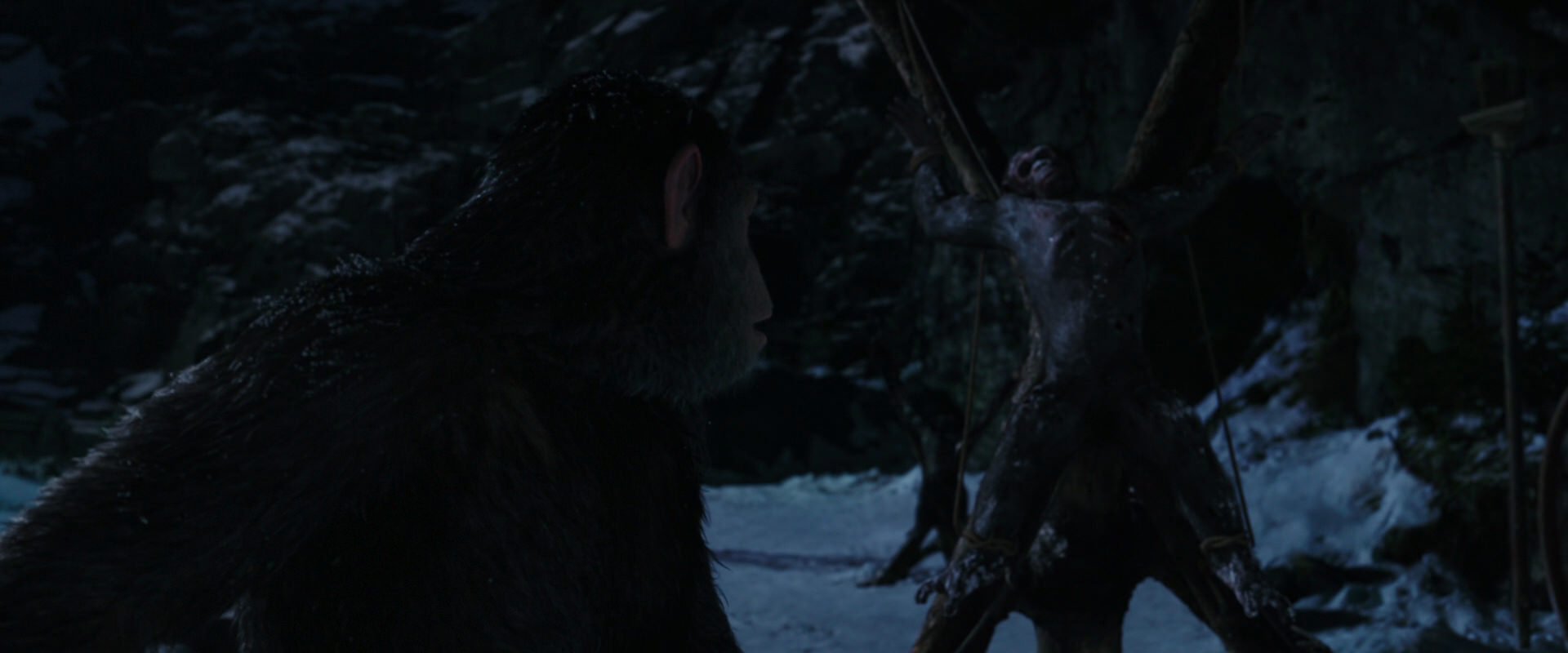 War for the Planet of the Apes (2017) movie still 7015