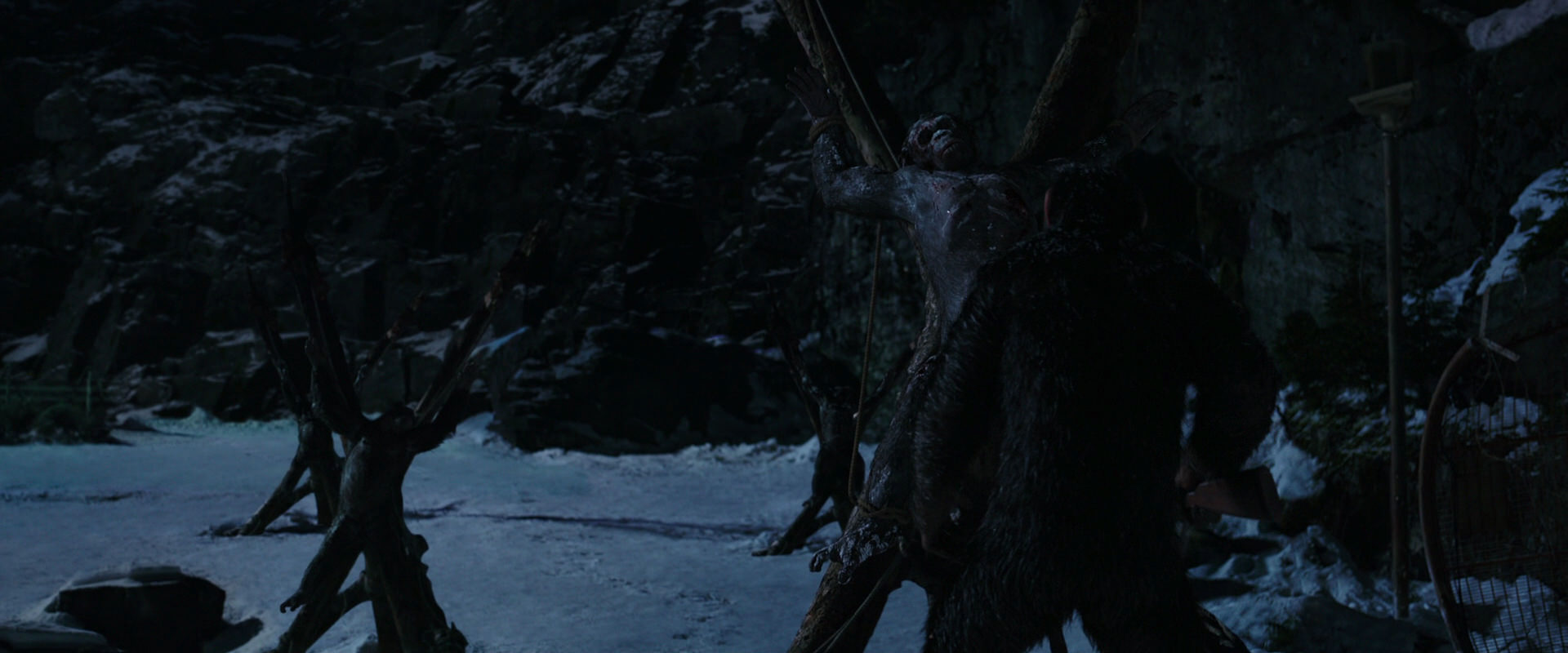 War for the Planet of the Apes (2017) screencap 7023