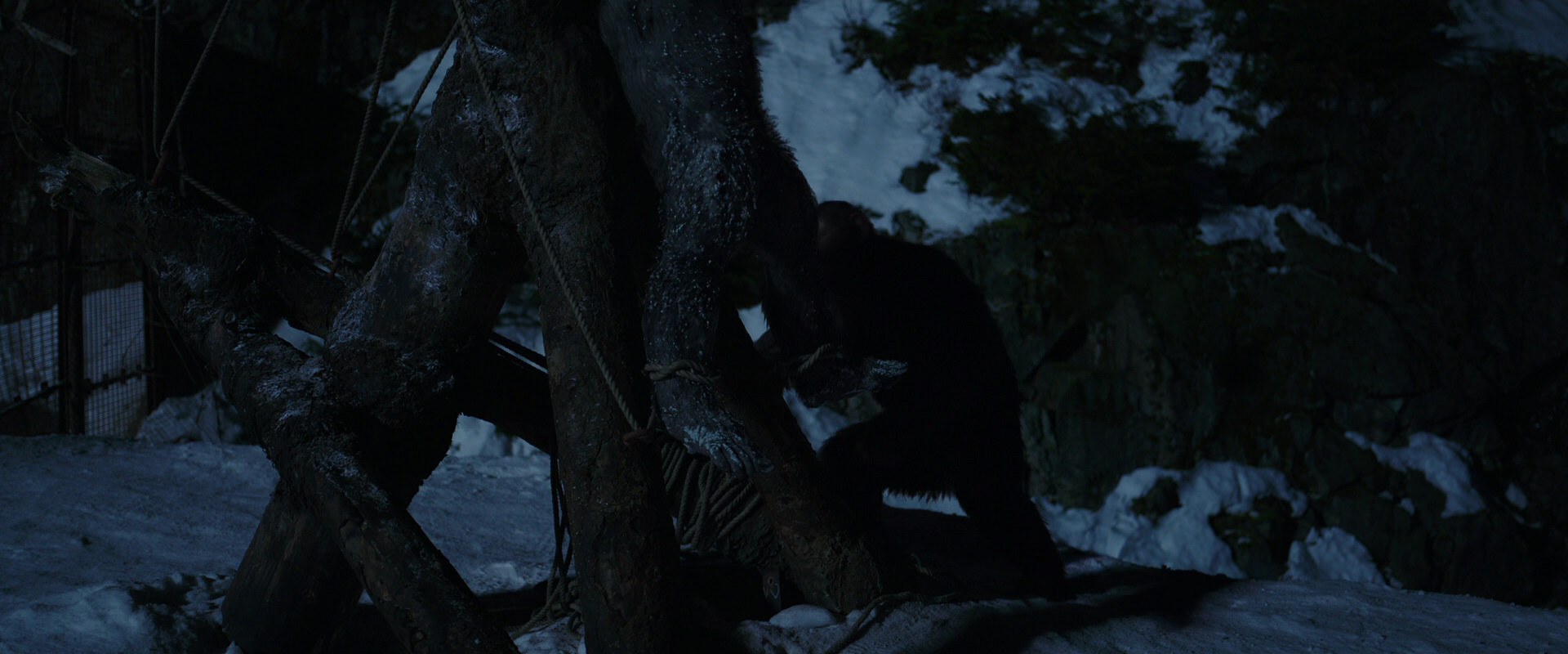 War for the Planet of the Apes (2017) movie still 7036