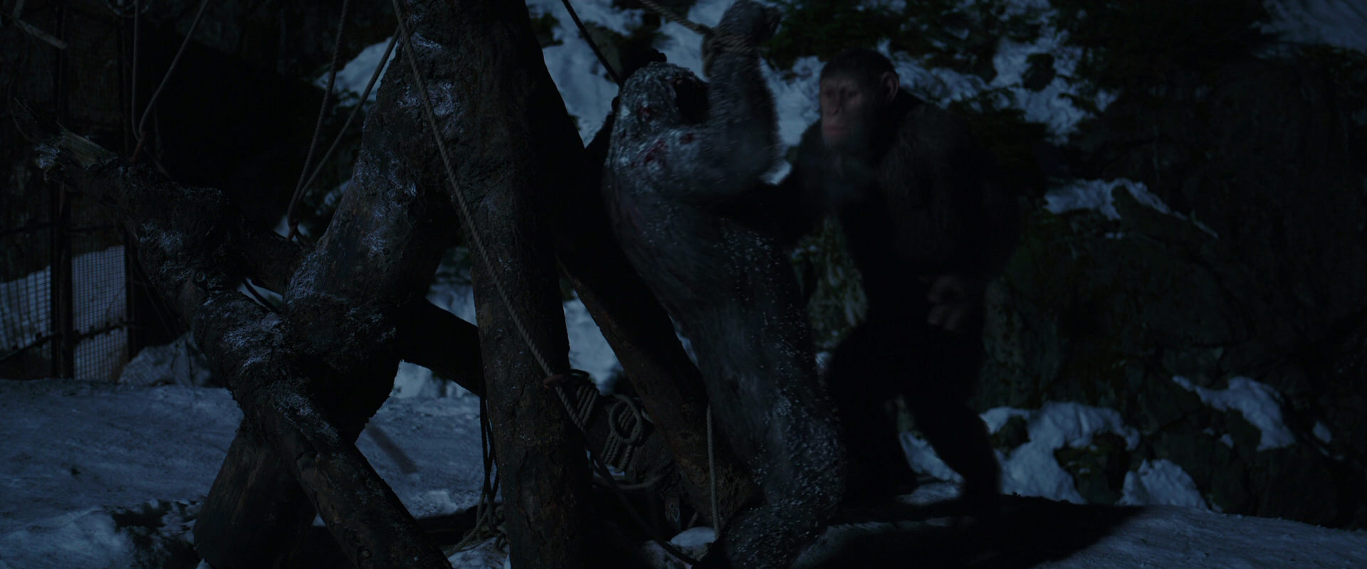 War for the Planet of the Apes (2017) screencap 7038