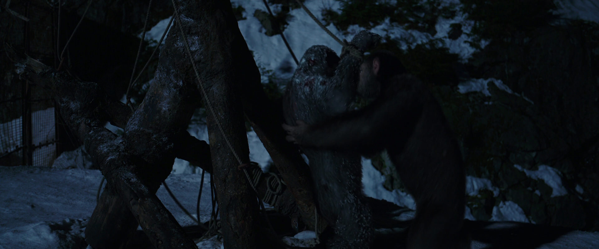 War for the Planet of the Apes (2017) movie still 7039