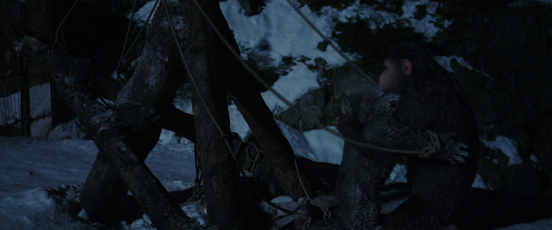 War for the Planet of the Apes (2017) screencap 7041