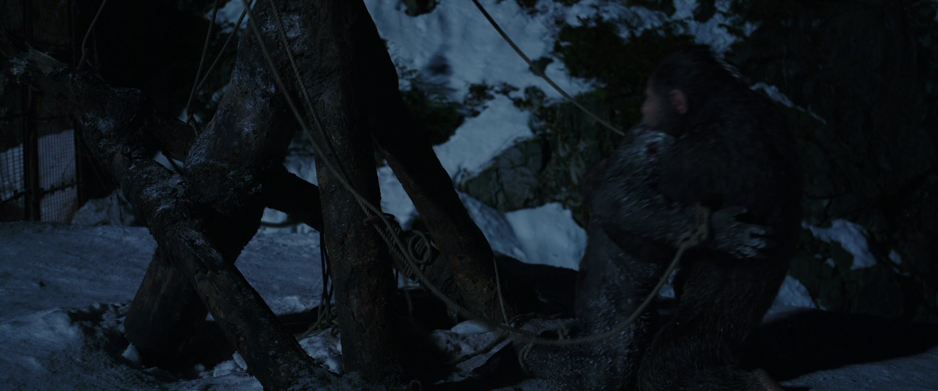 War for the Planet of the Apes (2017) movie still 7042