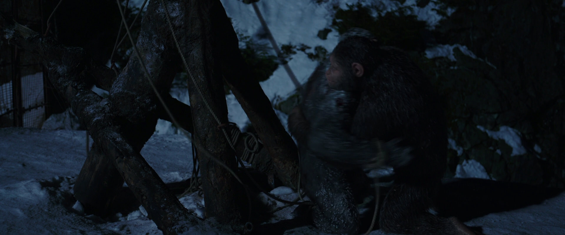 War for the Planet of the Apes (2017) HD screenshot 7043
