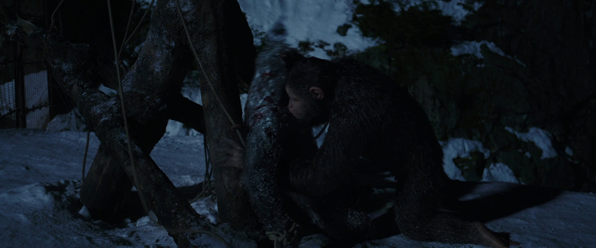 War for the Planet of the Apes (2017) screencap 7044
