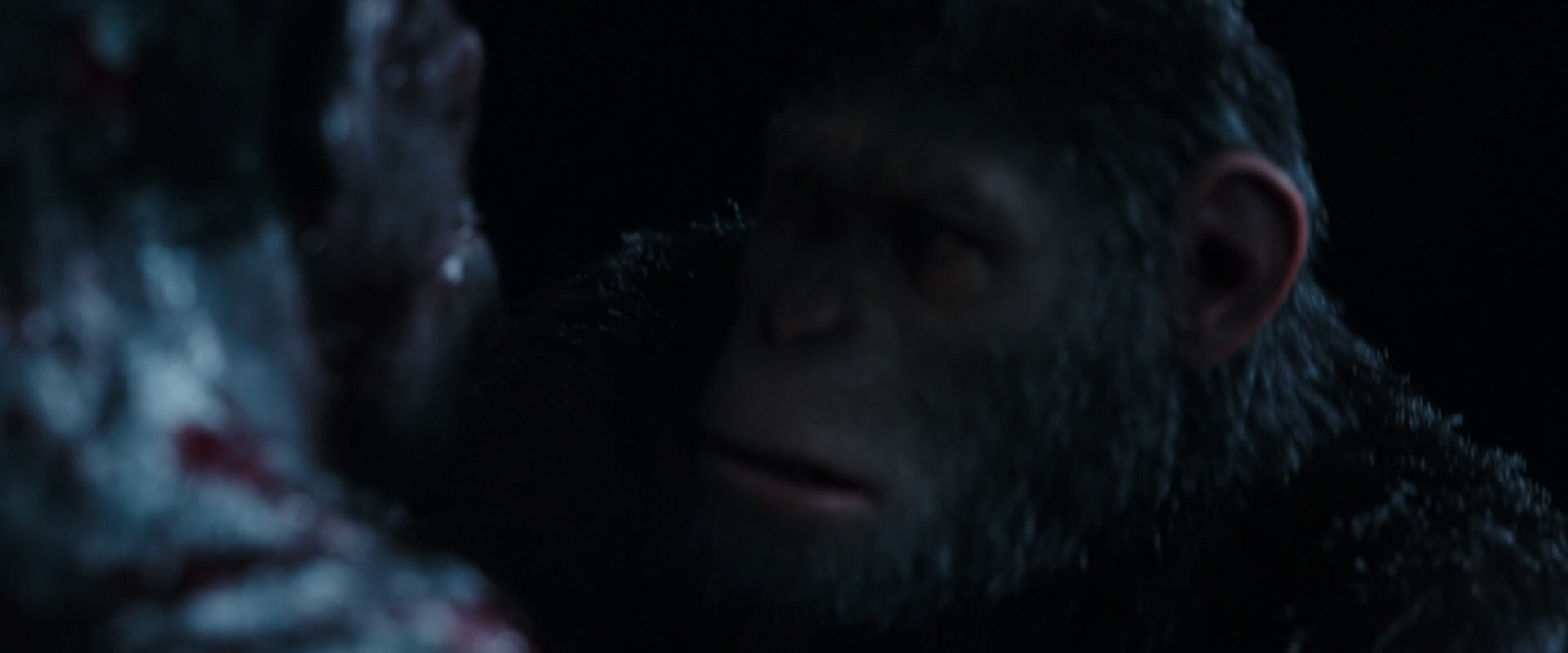 War for the Planet of the Apes (2017) movie still 7045