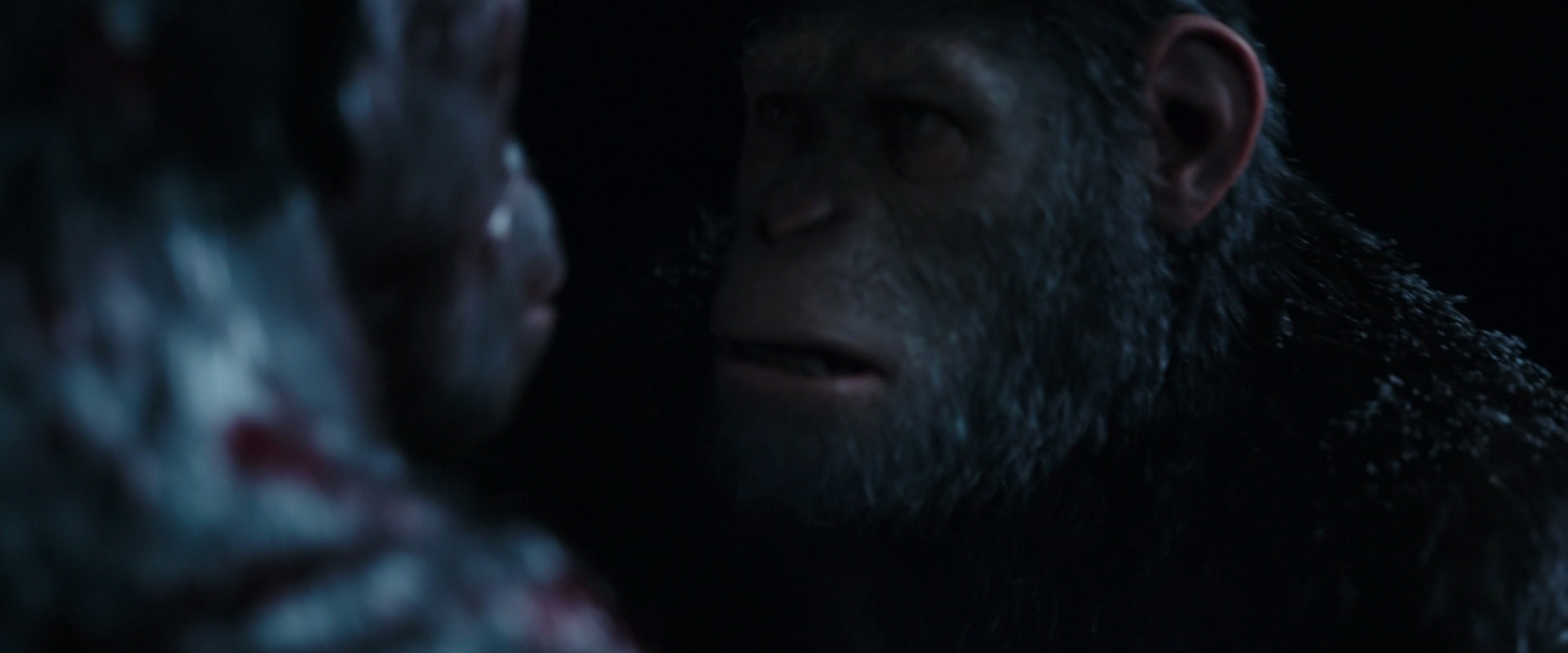 War for the Planet of the Apes (2017) HD screenshot 7046