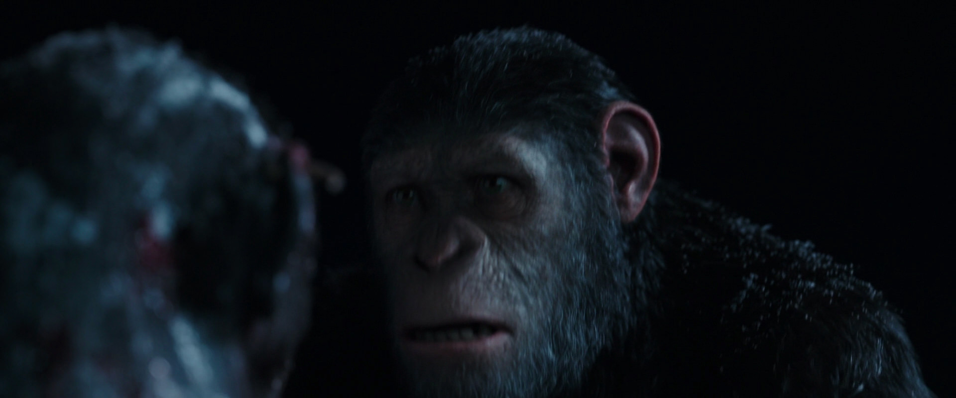 War for the Planet of the Apes (2017) screencap 7047