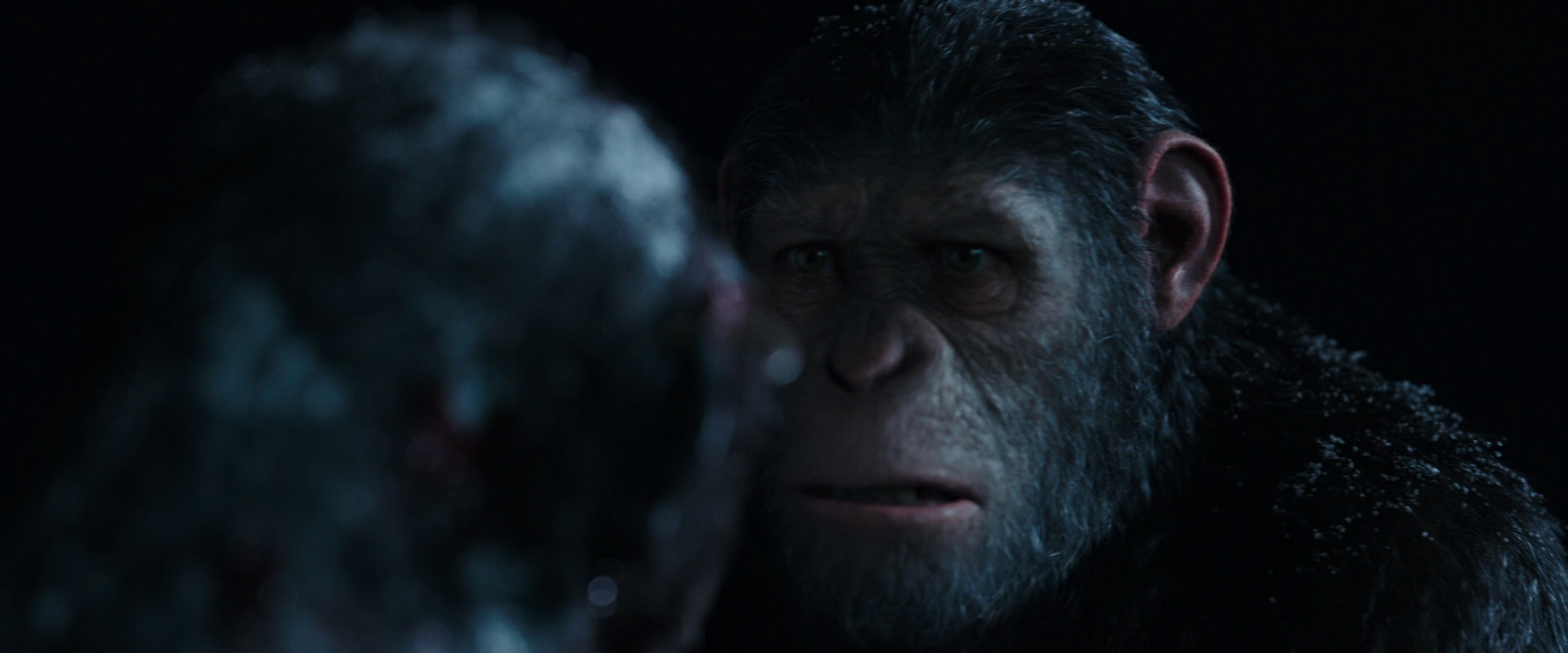 War for the Planet of the Apes (2017) movie still 7048