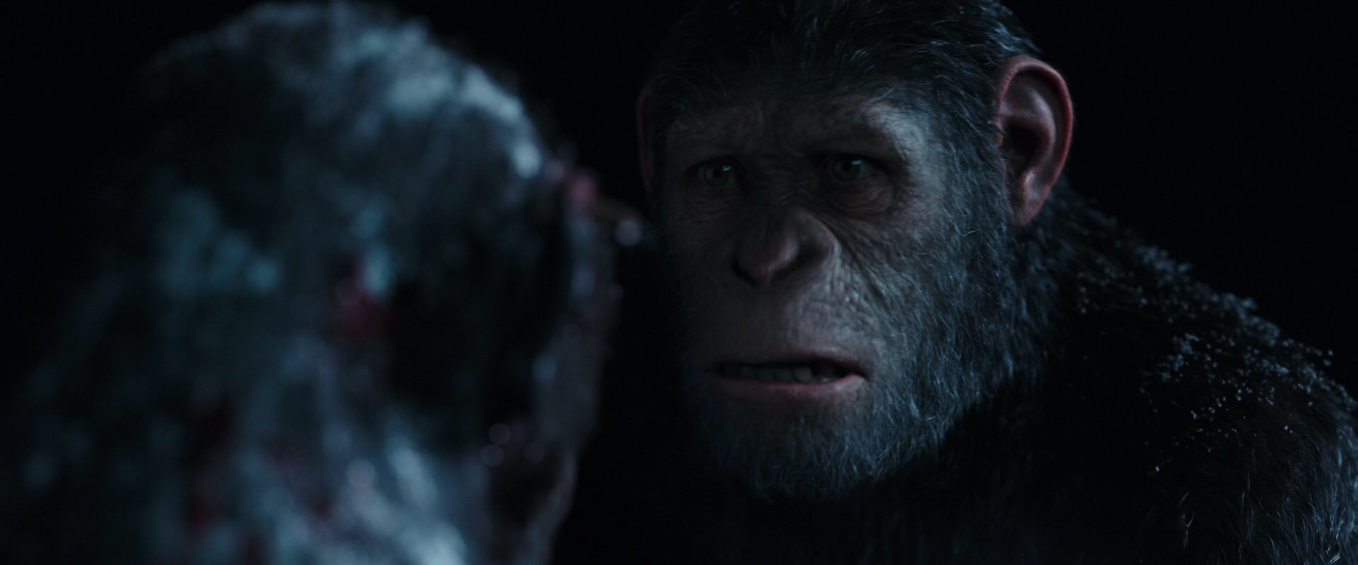 War for the Planet of the Apes (2017) HD screenshot 7049