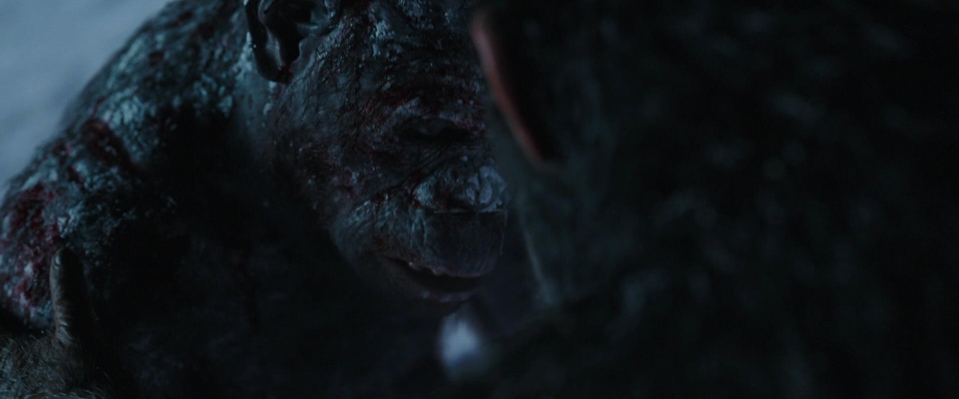 War for the Planet of the Apes (2017) screencap 7050