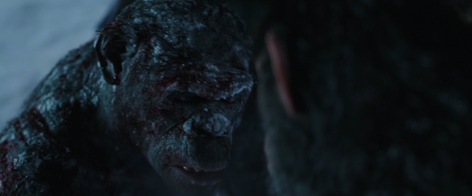 War for the Planet of the Apes (2017) HD screenshot 7052