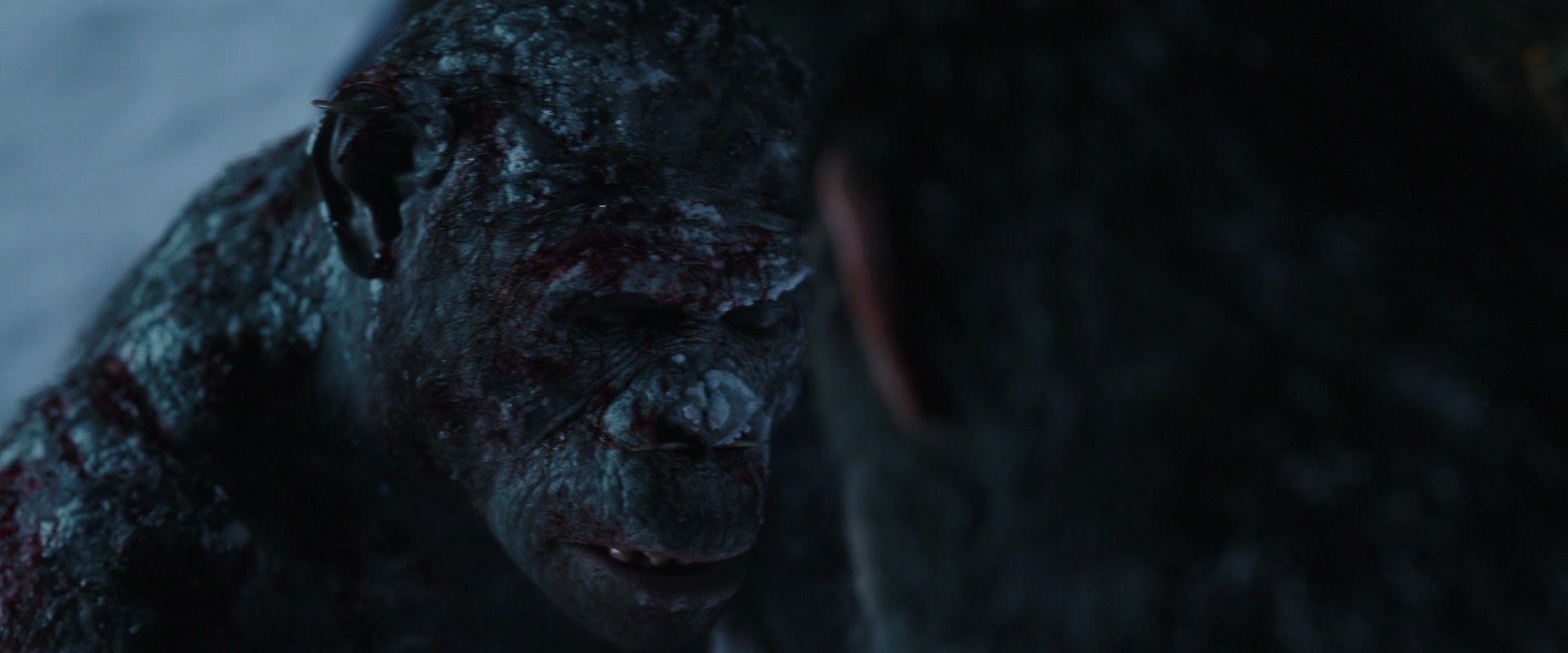 War for the Planet of the Apes (2017) screencap 7053