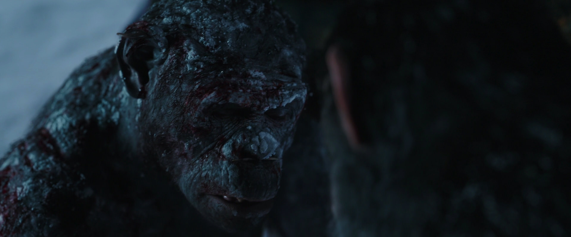 War for the Planet of the Apes (2017) movie still 7054