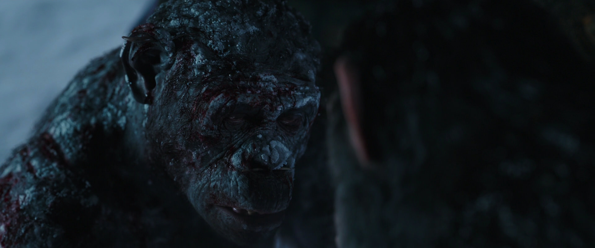 War for the Planet of the Apes (2017) screencap 7056