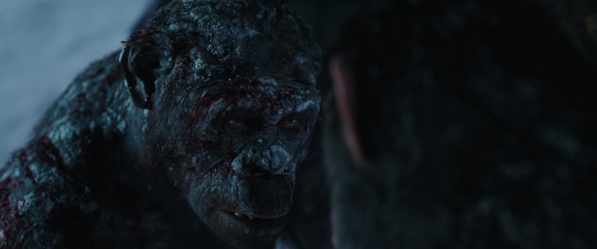War for the Planet of the Apes (2017) movie still 7057