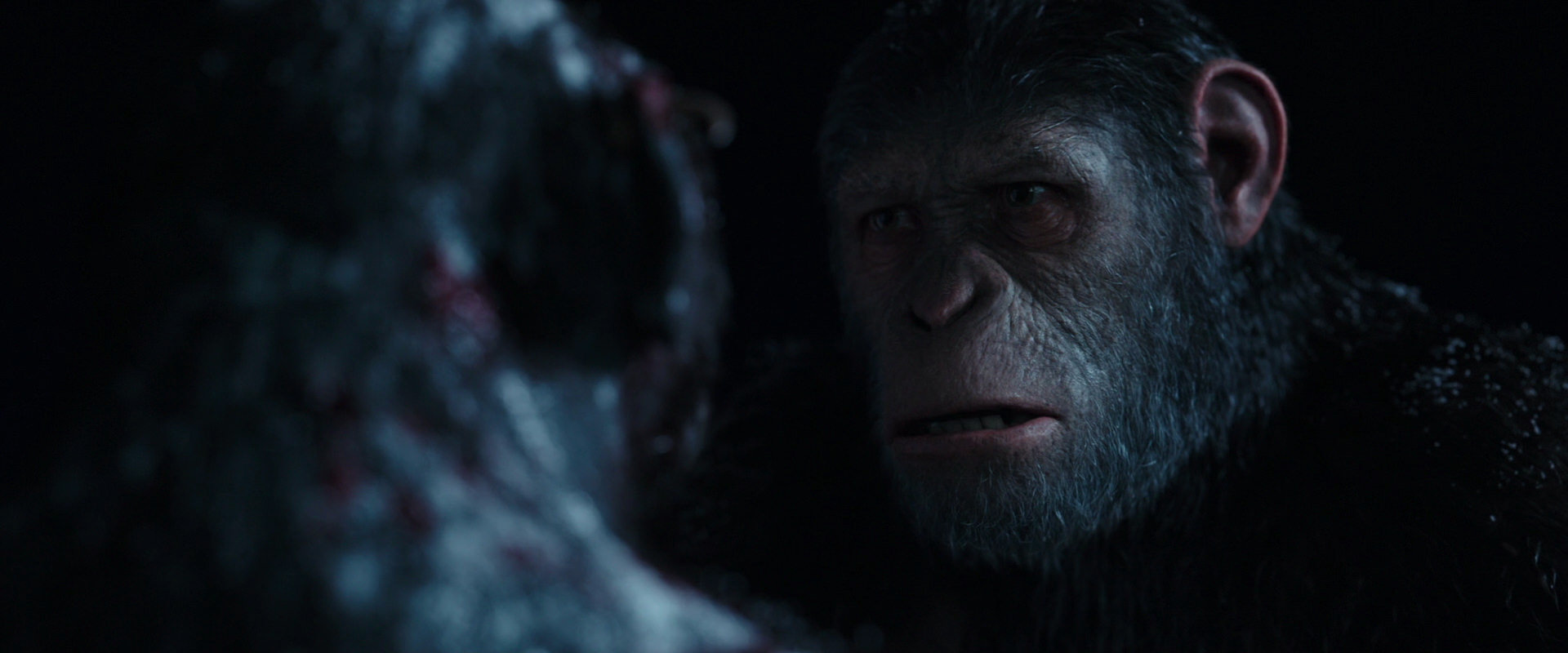 War for the Planet of the Apes (2017) HD screenshot 7058
