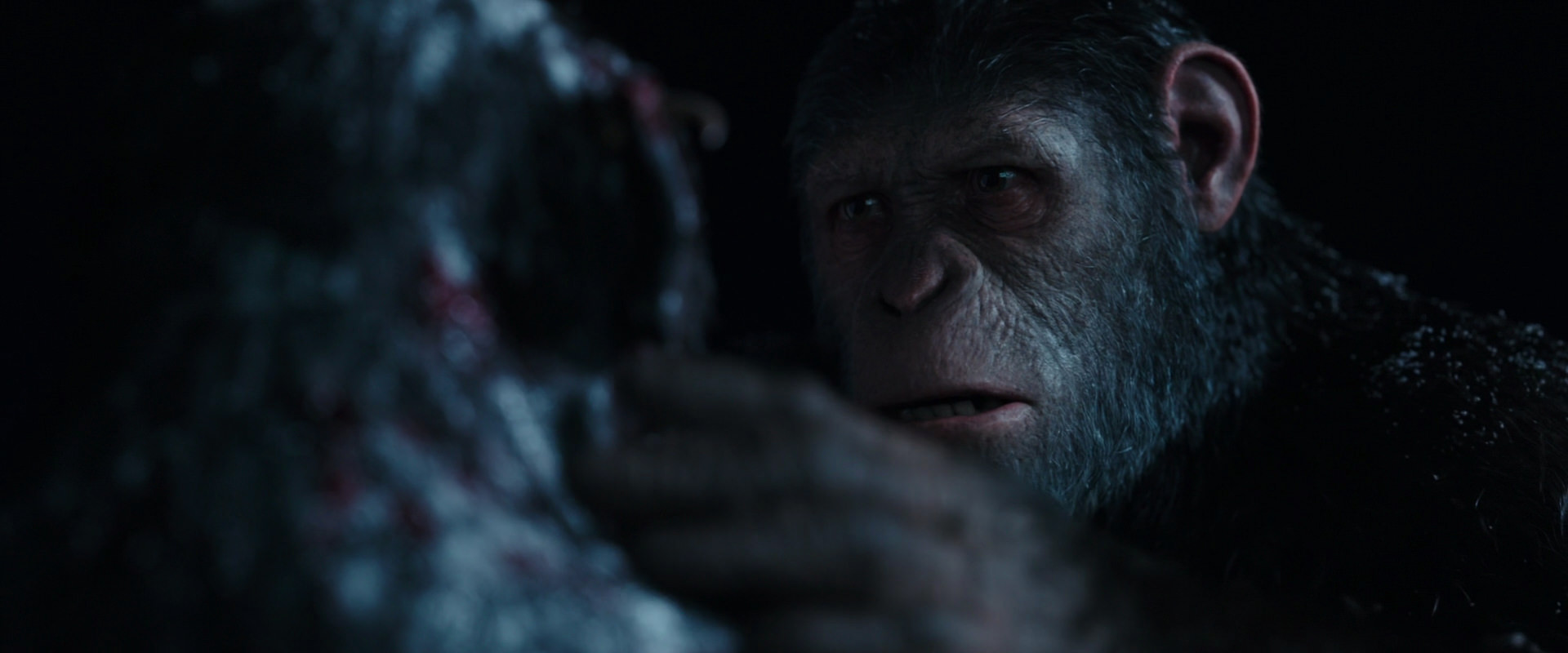 War for the Planet of the Apes (2017) screencap 7059