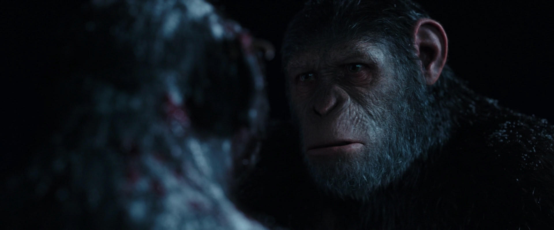 War for the Planet of the Apes (2017) movie still 7060