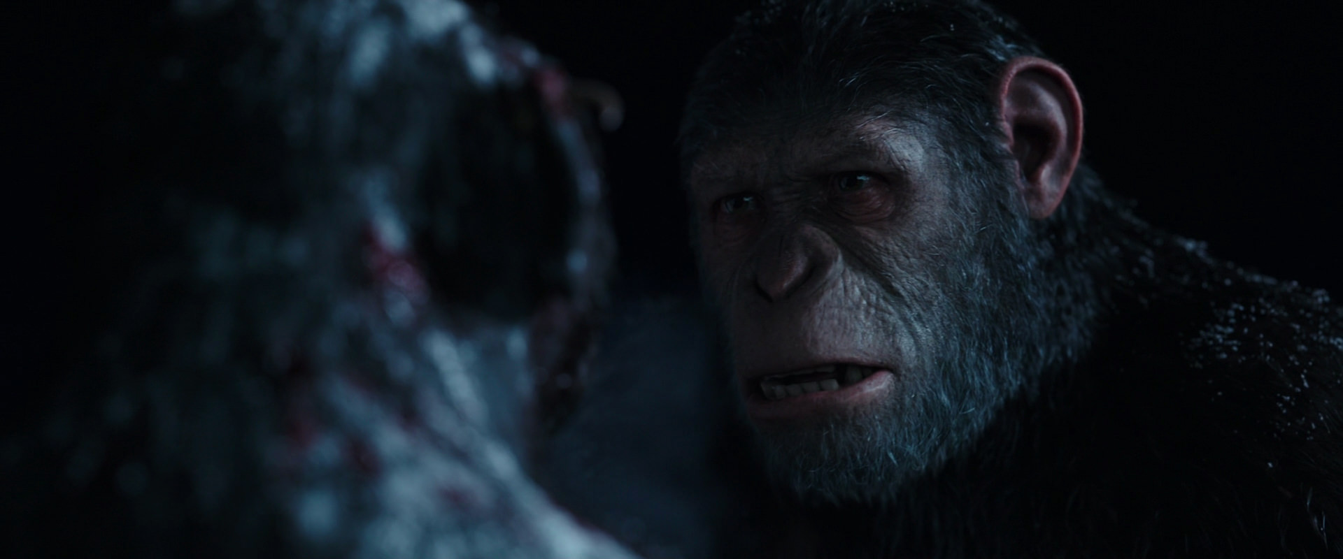 War for the Planet of the Apes (2017) HD screenshot 7061