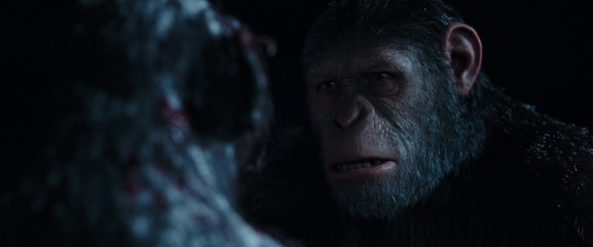 War for the Planet of the Apes (2017) screencap 7062