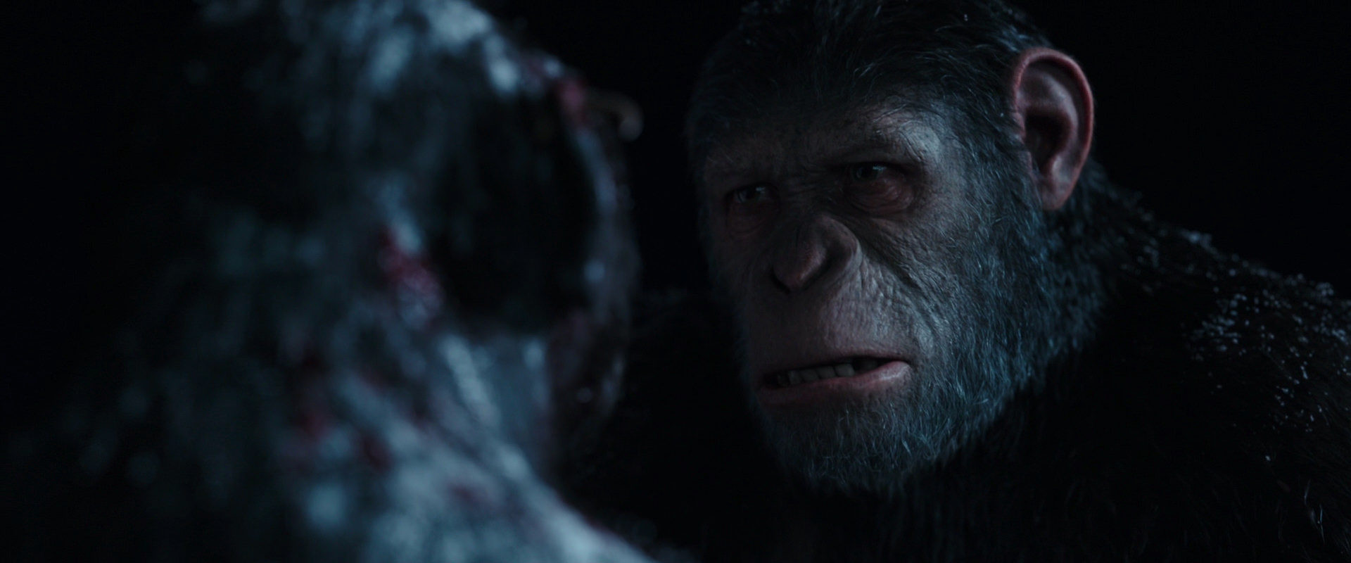 War for the Planet of the Apes (2017) movie still 7063