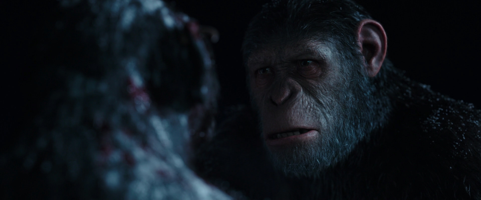 War for the Planet of the Apes (2017) HD screenshot 7064