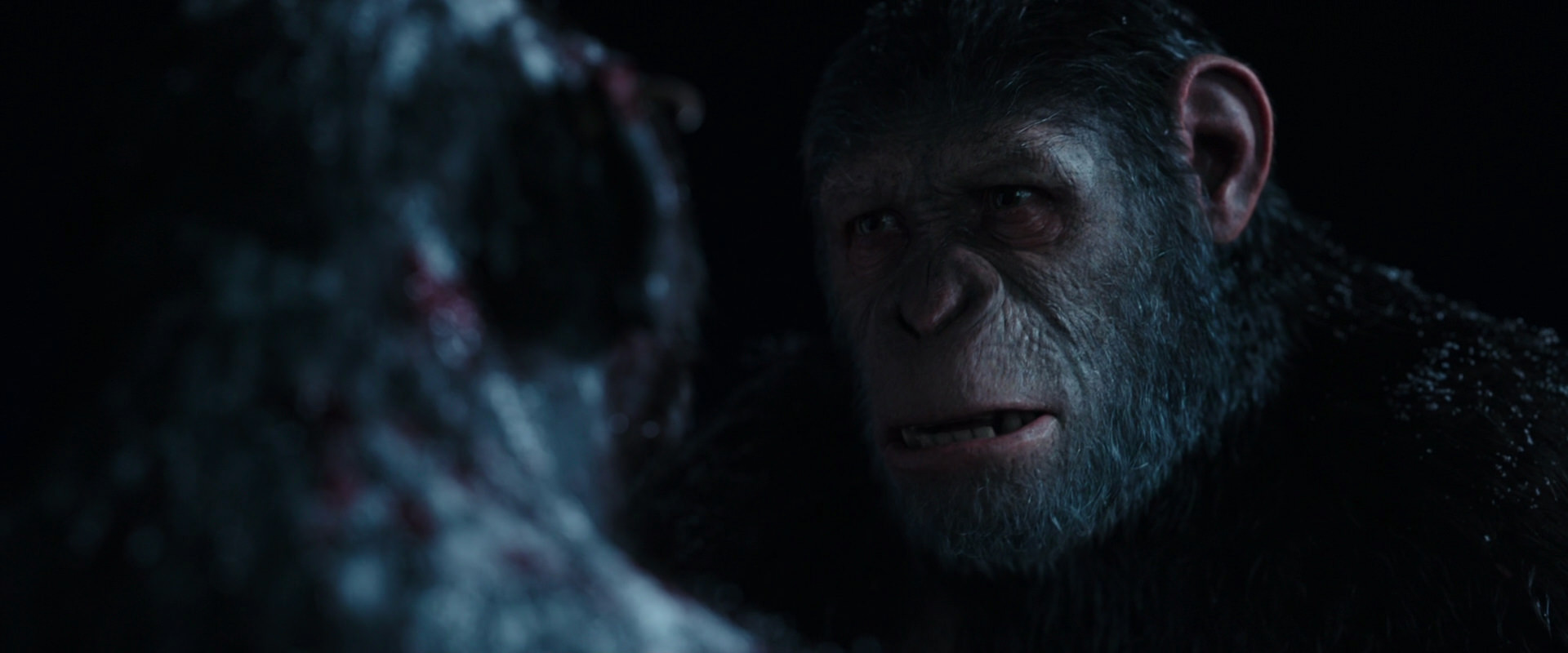 War for the Planet of the Apes (2017) screencap 7065