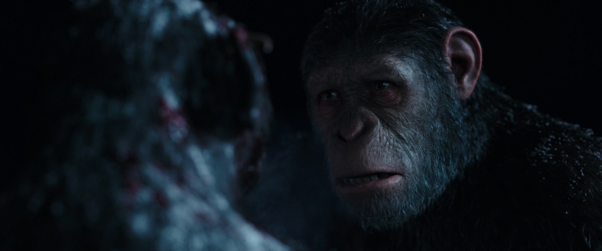 War for the Planet of the Apes (2017) movie still 7066