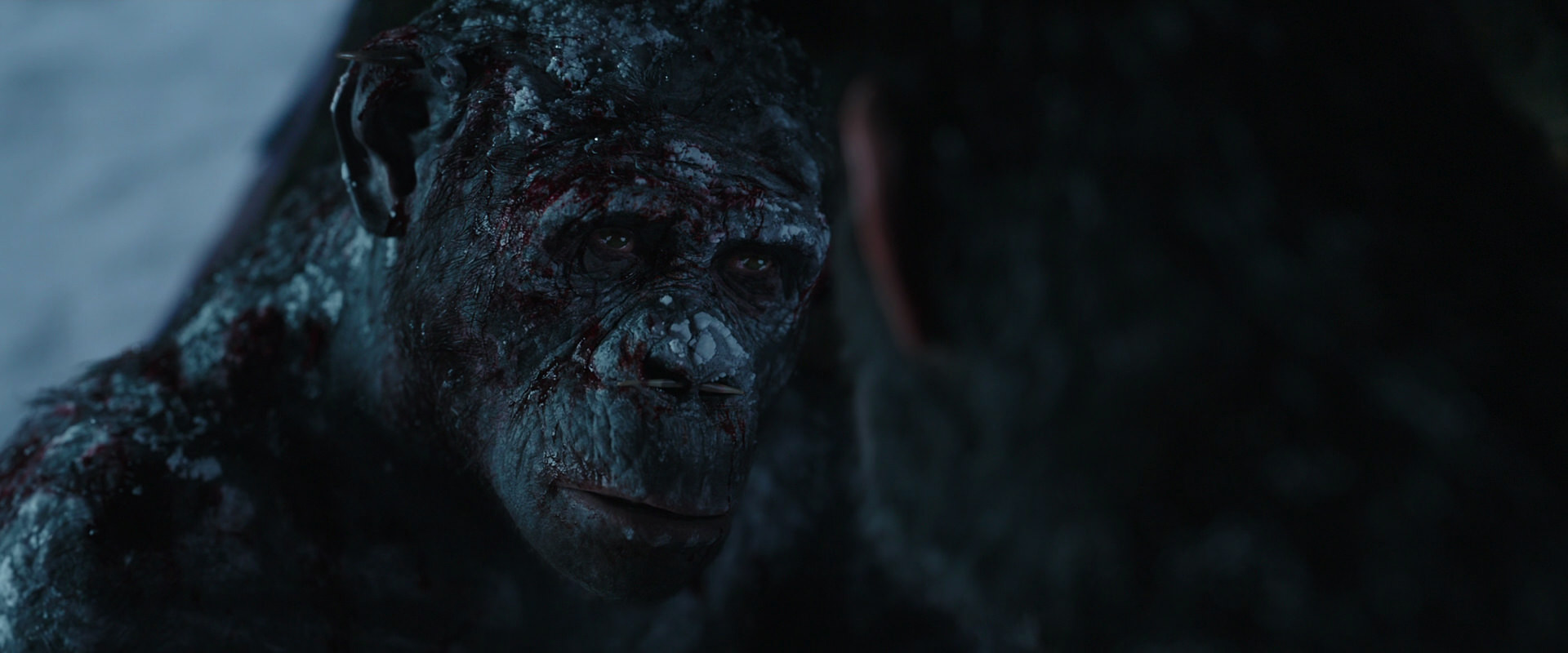 War for the Planet of the Apes (2017) HD screenshot 7067