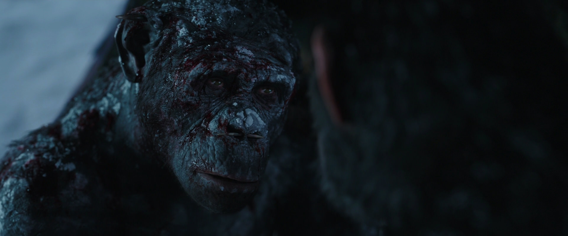 War for the Planet of the Apes (2017) screencap 7068