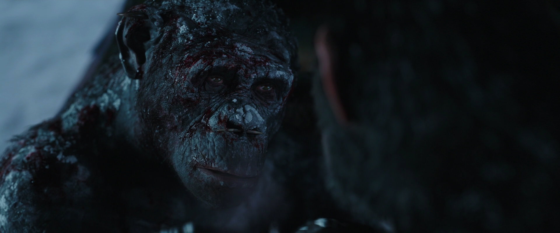 War for the Planet of the Apes (2017) movie still 7069