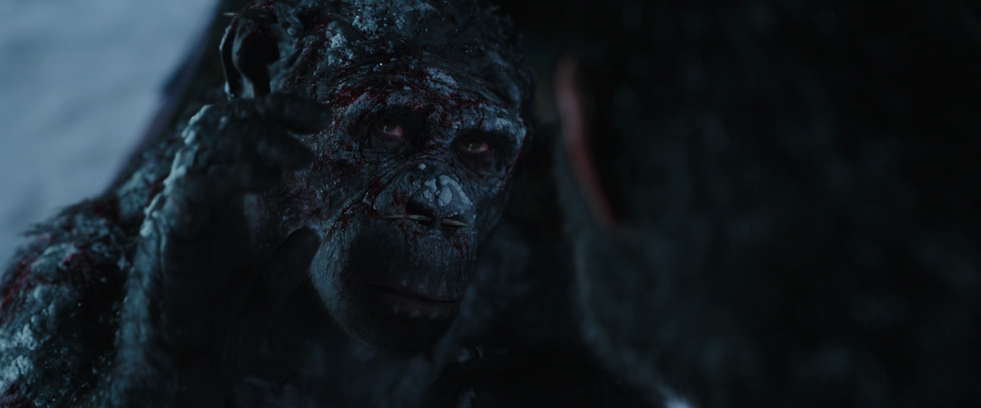 War for the Planet of the Apes (2017) screencap 7071
