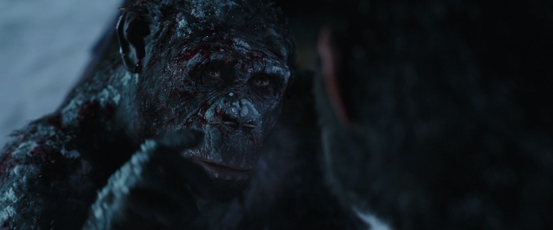 War for the Planet of the Apes (2017) movie still 7072