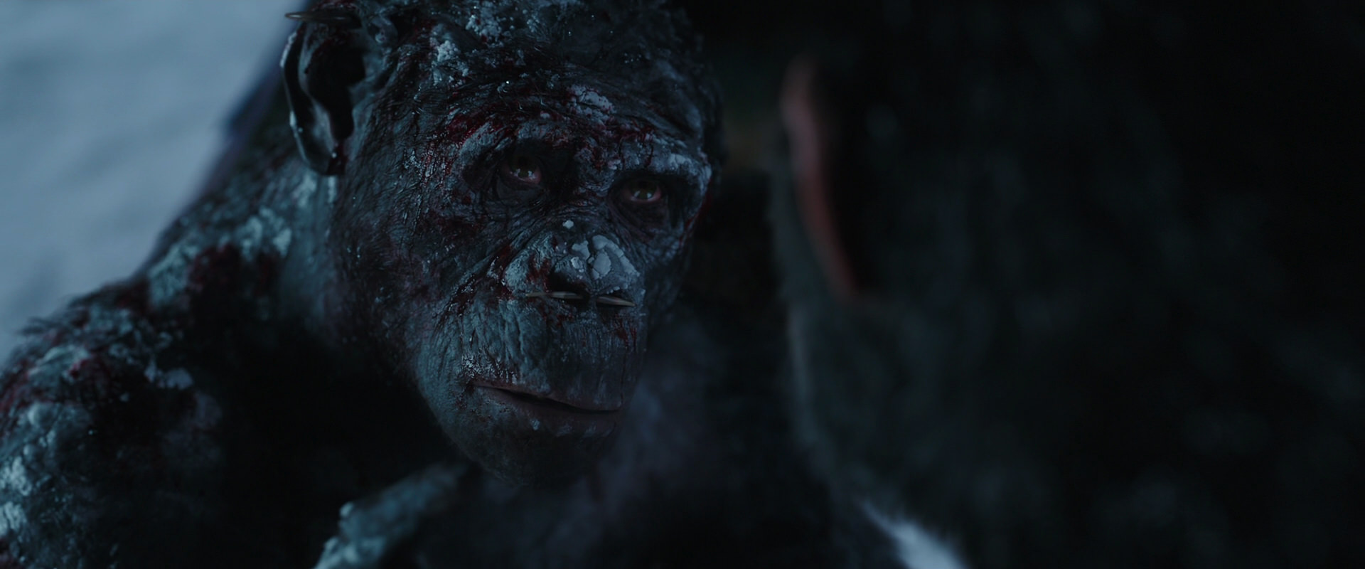War for the Planet of the Apes (2017) HD screenshot 7073