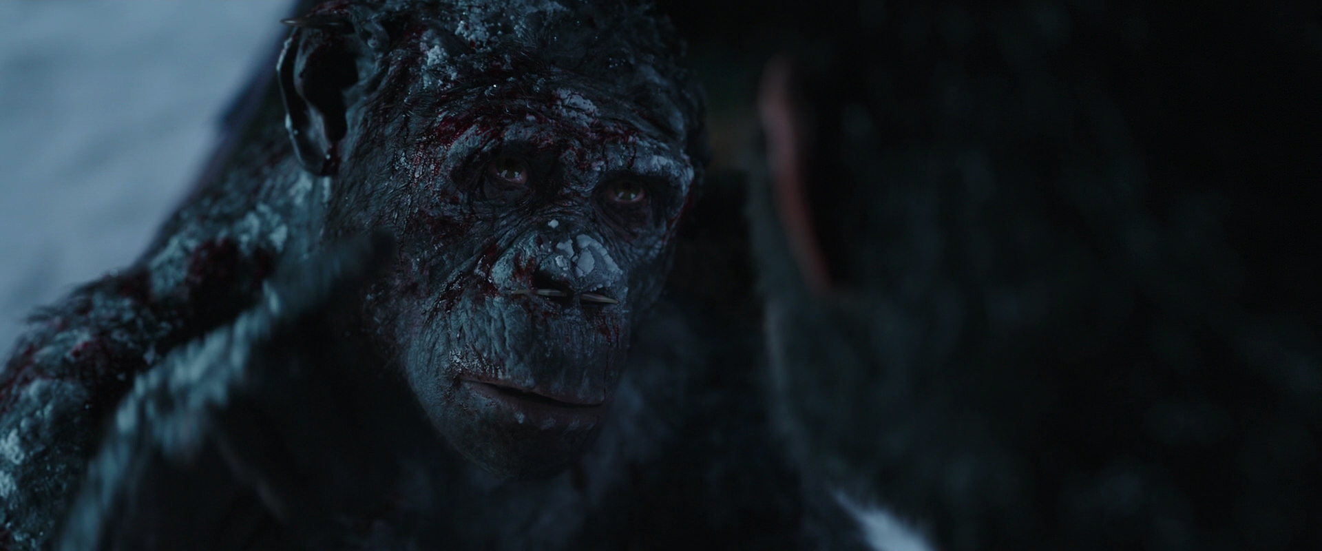 War for the Planet of the Apes (2017) screencap 7074