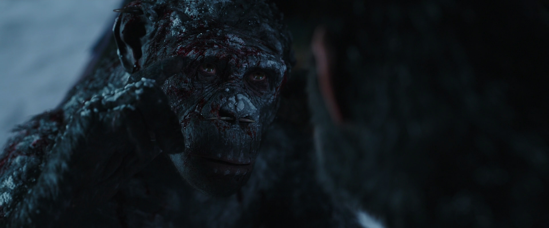 War for the Planet of the Apes (2017) movie still 7075