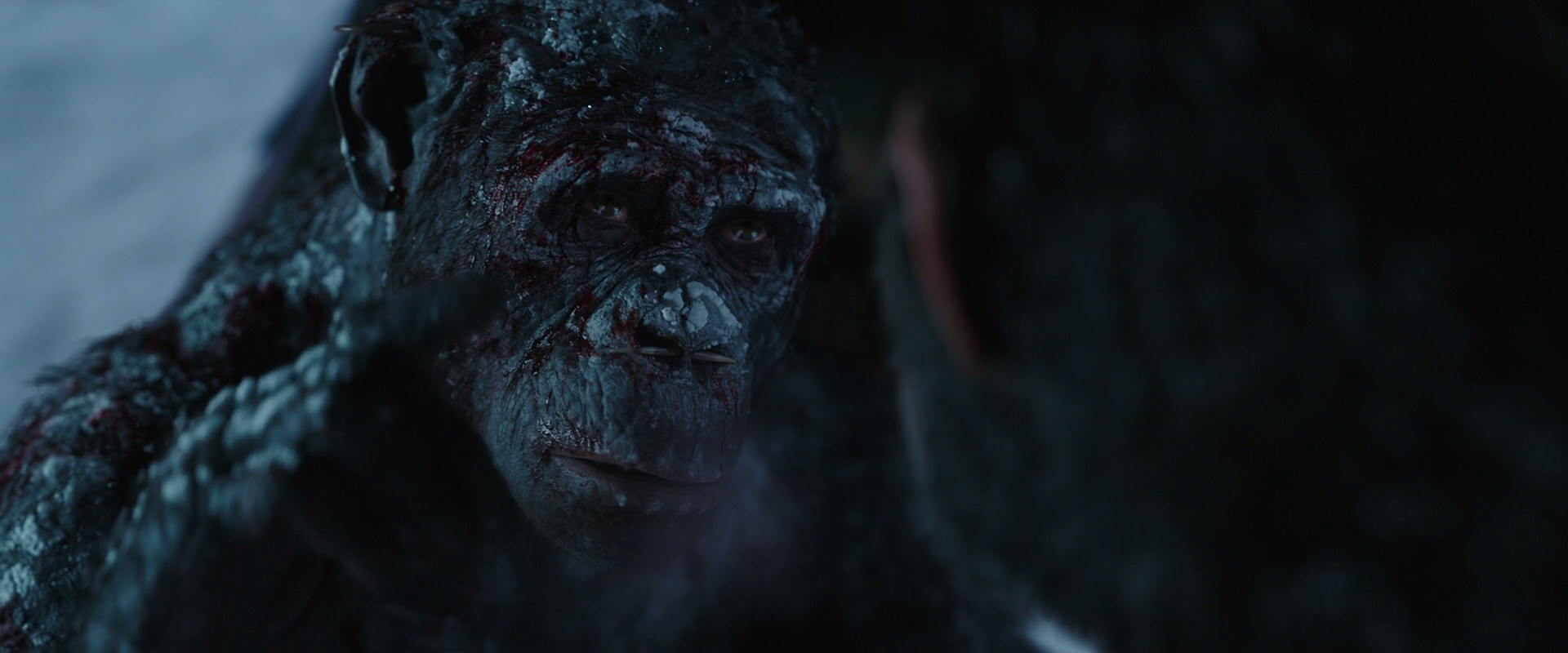 War for the Planet of the Apes (2017) HD screenshot 7076