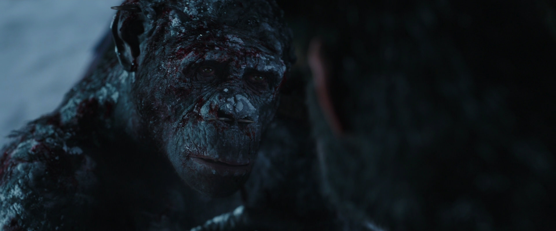 War for the Planet of the Apes (2017) screencap 7077