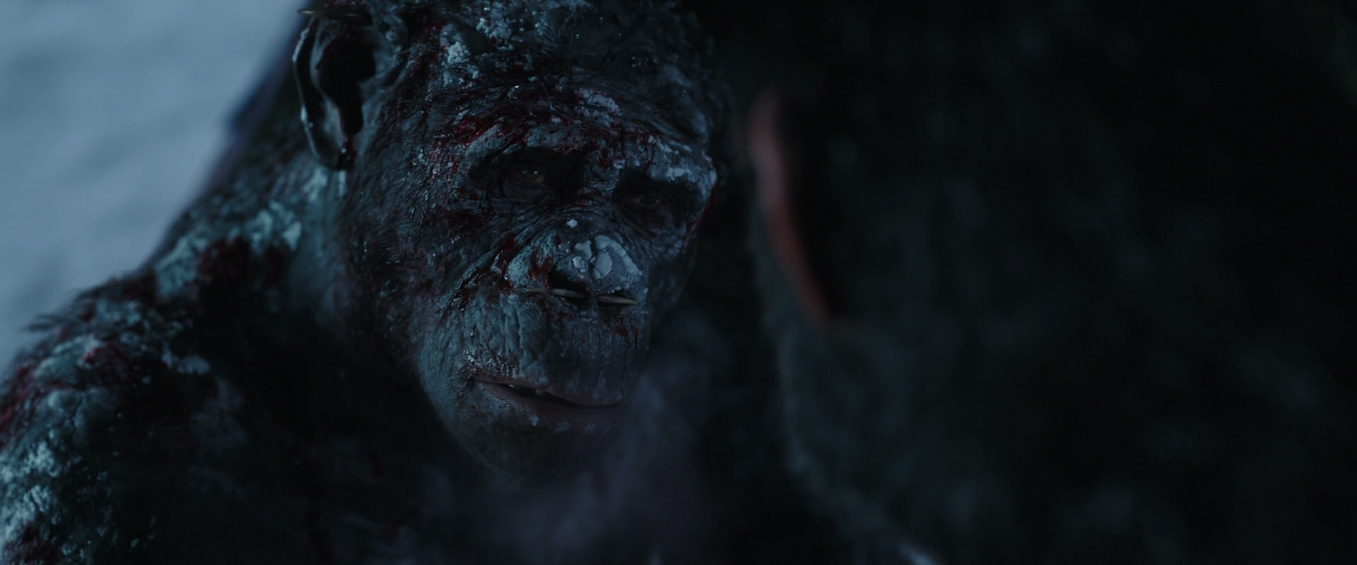 War for the Planet of the Apes (2017) movie still 7078