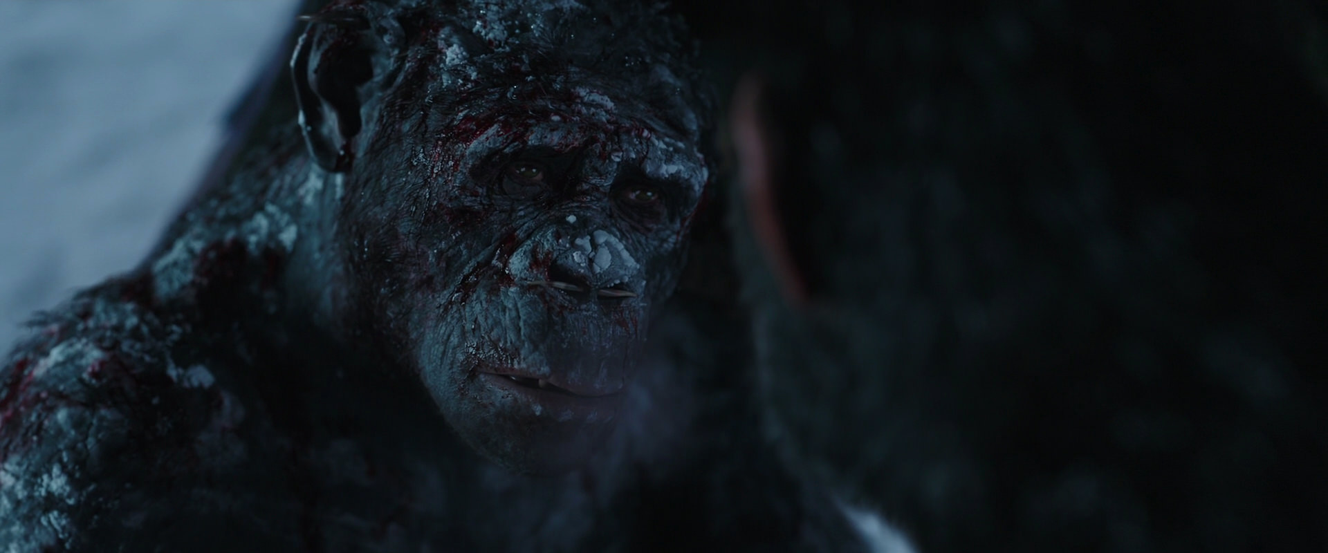 War for the Planet of the Apes (2017) screencap 7080