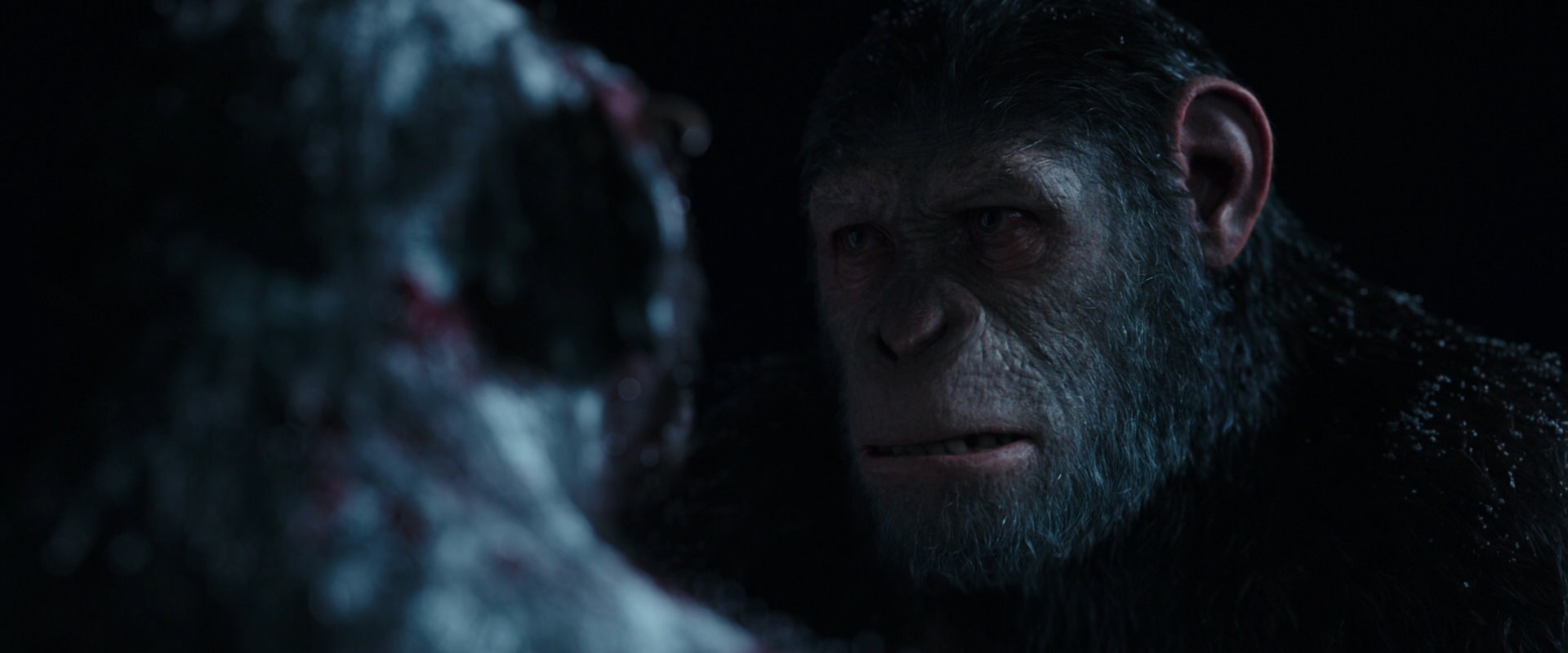 War for the Planet of the Apes (2017) movie still 7081