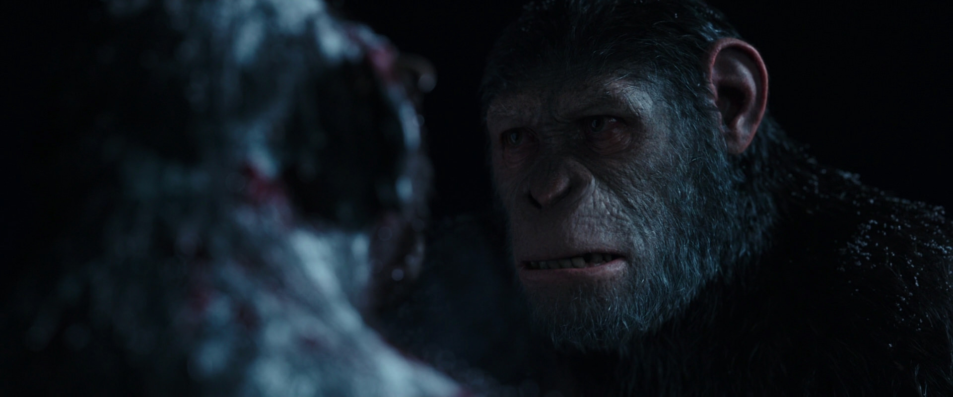 War for the Planet of the Apes (2017) HD screenshot 7082