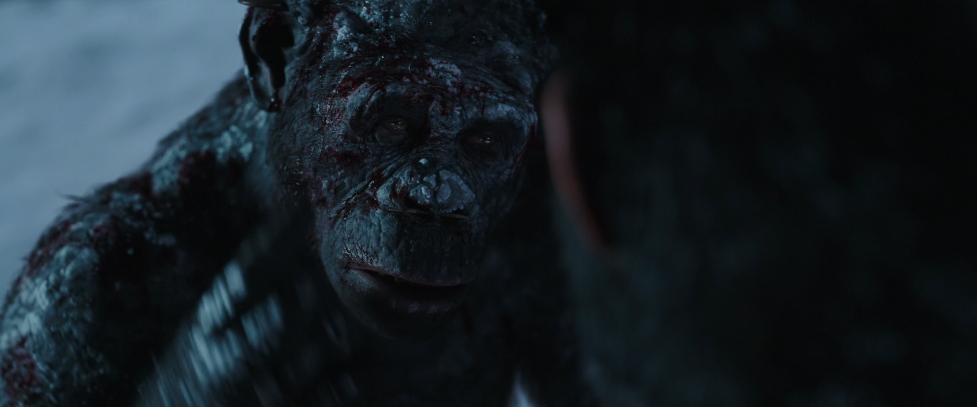 War for the Planet of the Apes (2017) screencap 7083