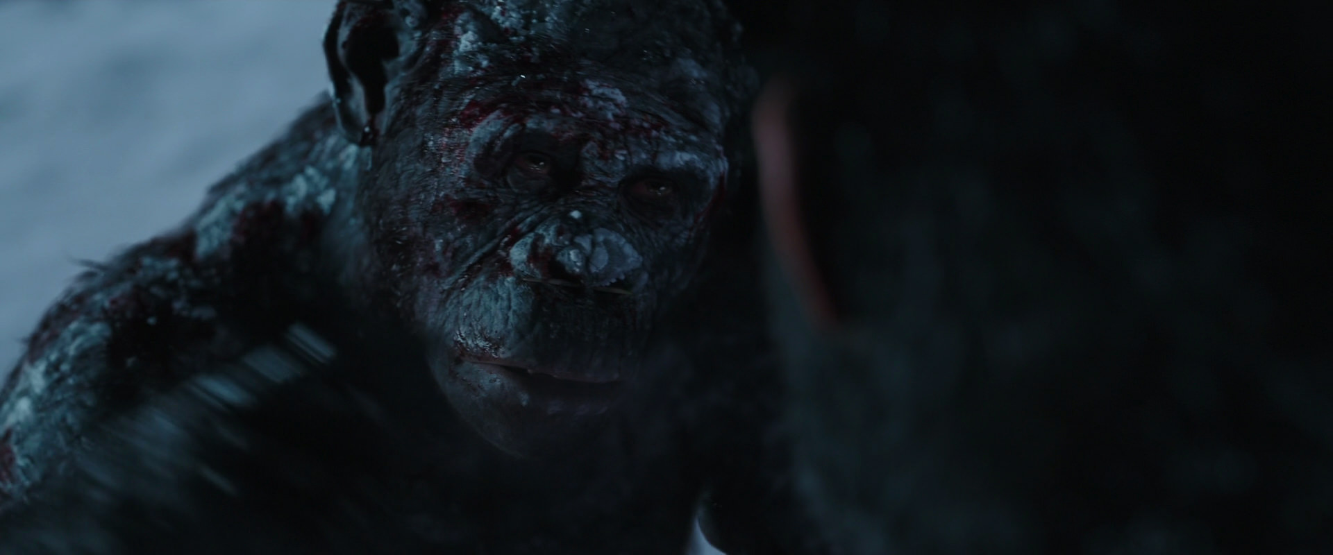 War for the Planet of the Apes (2017) movie still 7084