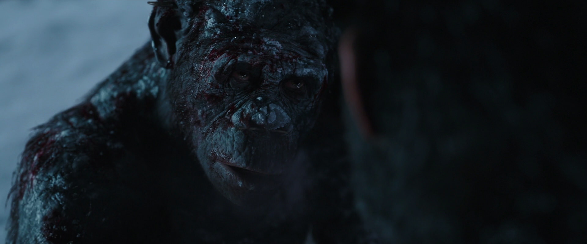 War for the Planet of the Apes (2017) HD screenshot 7085