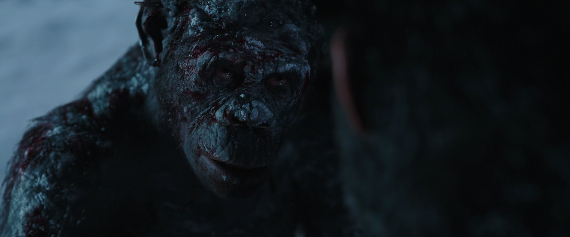 War for the Planet of the Apes (2017) screencap 7086