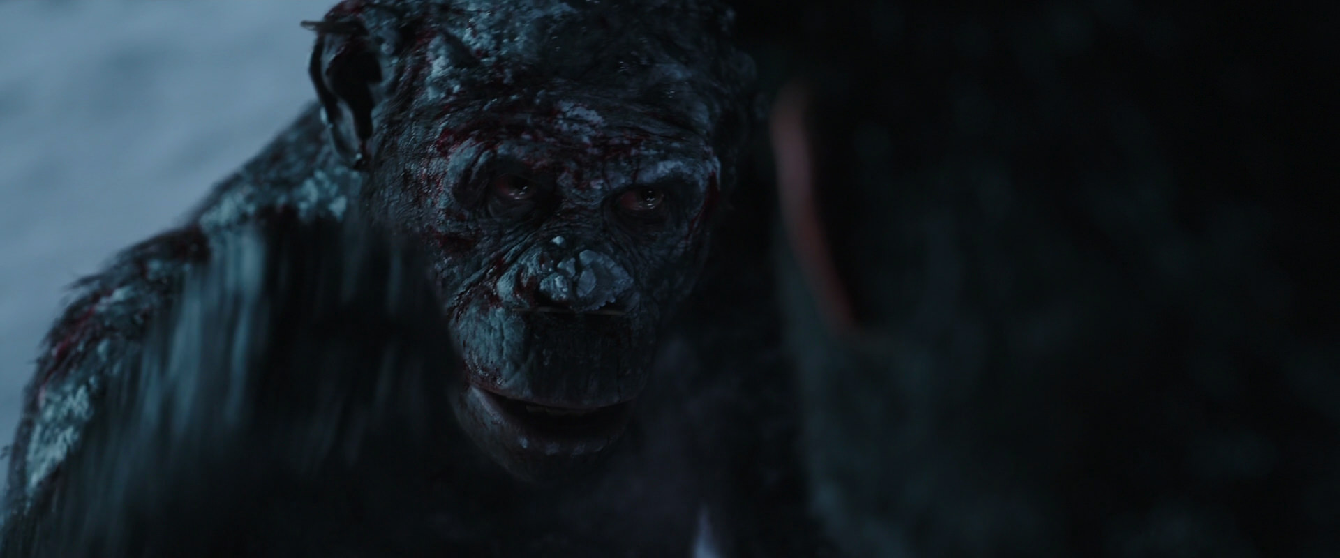 War for the Planet of the Apes (2017) movie still 7087