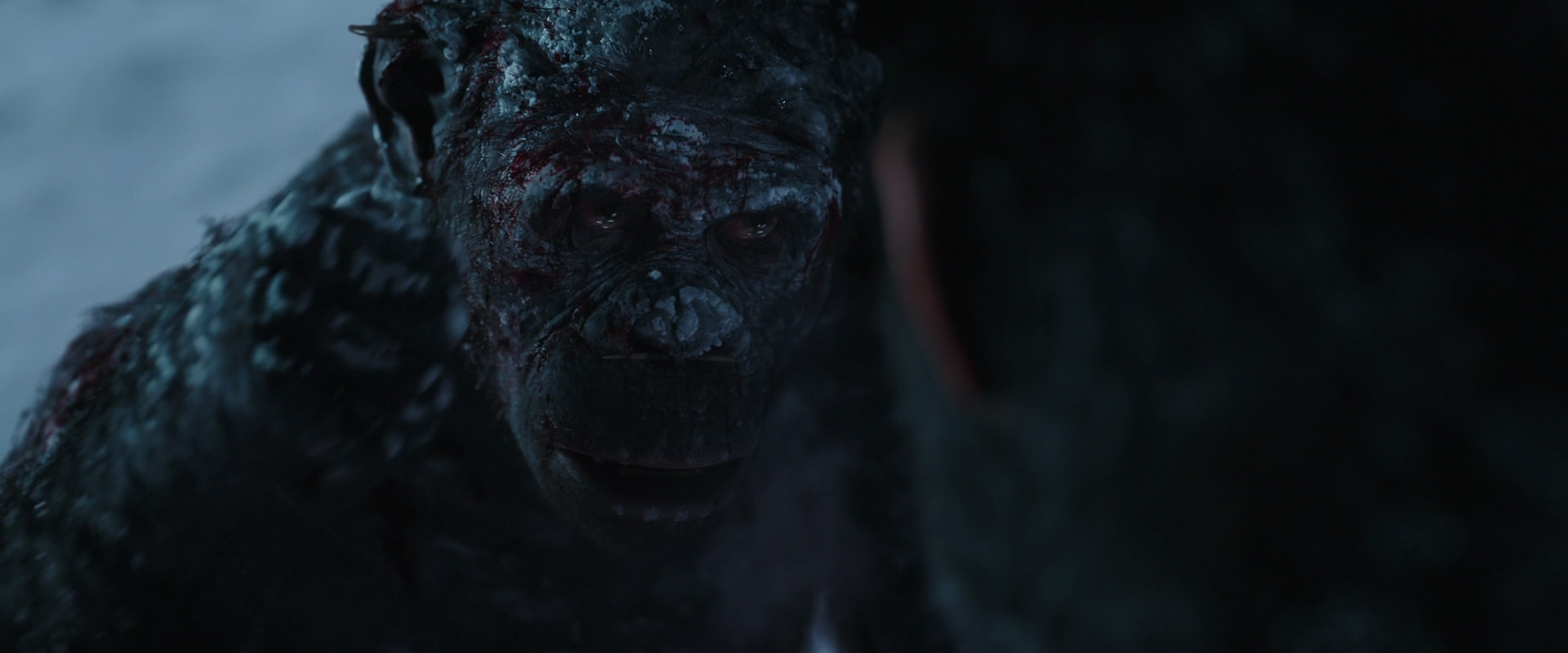 War for the Planet of the Apes (2017) screencap 7089