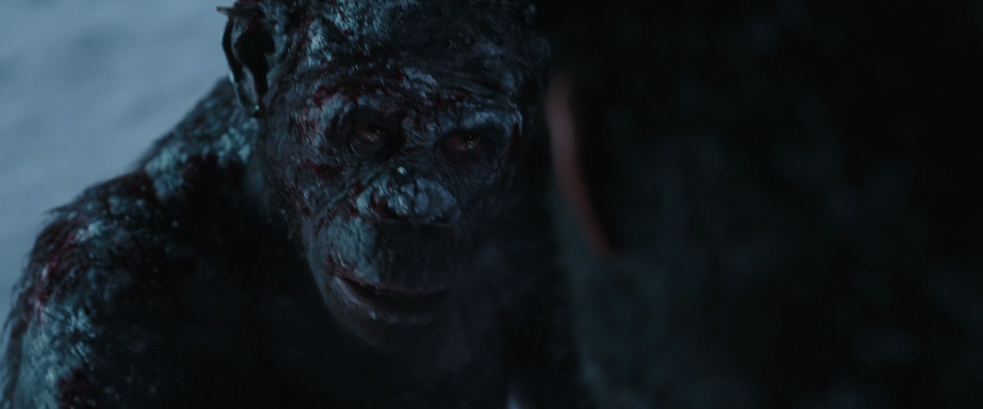 War for the Planet of the Apes (2017) movie still 7090